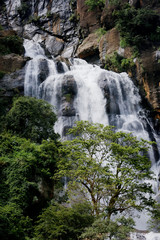 Fototapeta premium Waterfall in Sri lanka.