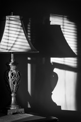 Lamp Shade and Light
