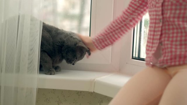 a little girl is feeding a cat sitting by the window