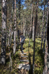 Naklejka premium Lake