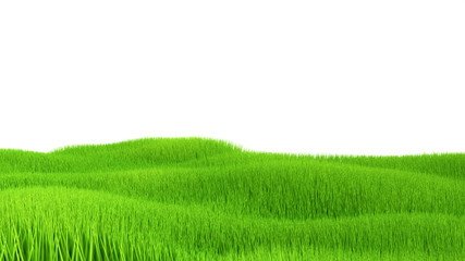 Obraz premium Interior background with grass. 3d illustration, 3d rendering.