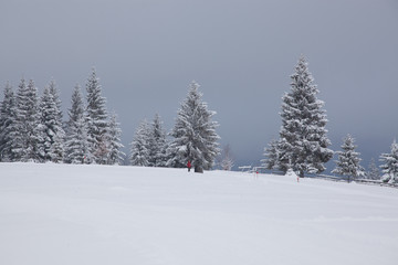 winter in the mountains - small Romanian village in the Carpathians covered with snow