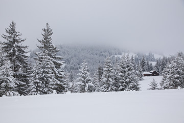 winter in the mountains - small Romanian village in the Carpathians covered with snow