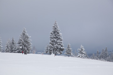 winter in the mountains - small Romanian village in the Carpathians covered with snow