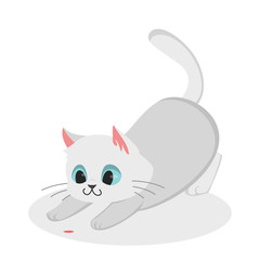 White cat playing.