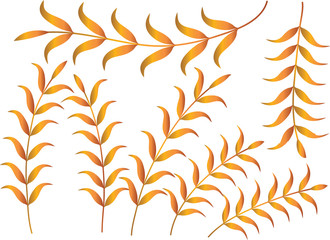 plant and flower line