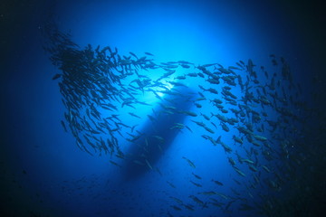 Naklejka na ściany i meble Scuba diving boat above reef with fish