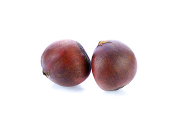Chinese chestnut isolated on white