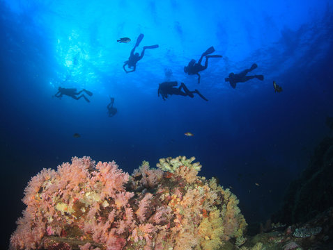 Scuba diver explores coral reef with fish 