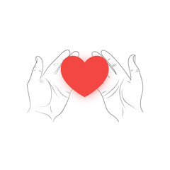 Red heart in hands on a white background. Vector illustration .