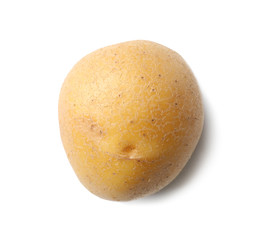 Fresh raw potato on white background