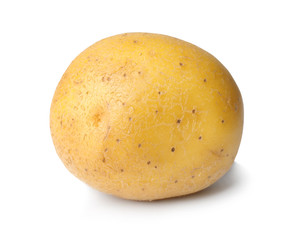 Fresh raw potato on white background