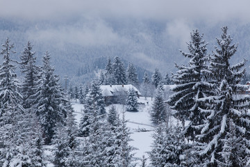 winter in the mountains - small Romanian village in the Carpathians covered with snow