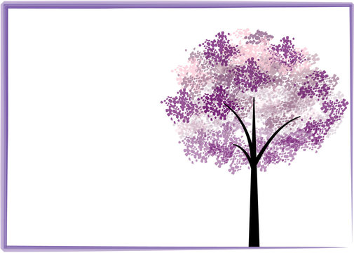 pland and tree