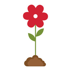 flower and leafs floral decoration vector illustration design