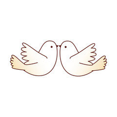couple doves flying icon vector illustration design