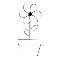 cute flower decorative in pot vector illustration design