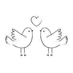 couple doves flying with heart vector illustration design