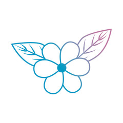 flower and leafs floral decoration vector illustration design