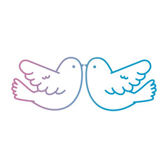 couple doves flying icon vector illustration design