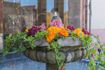 Close-up shot of a water fountain, filled with red, orange and pink flowers, and green leafy vines, with blue tiles and a glass window in the background  - 191125927
