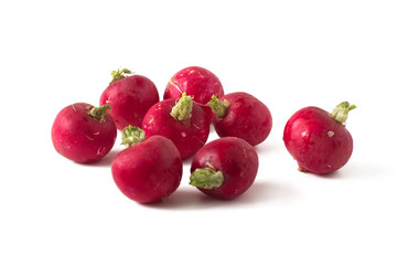 Radishes on a white background