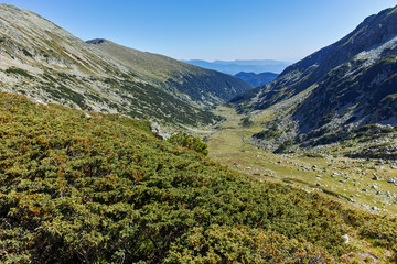 Fototapeta na wymiar Amazing Landscape with green hills, Pirin Mountain, Bulgaria