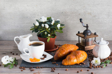Morning set with two croissants, cup of aroma coffee, jug of cream to coffee and azalia on gray wooden background.