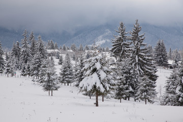 winter in the mountains - small Romanian village in the Carpathians covered with snow