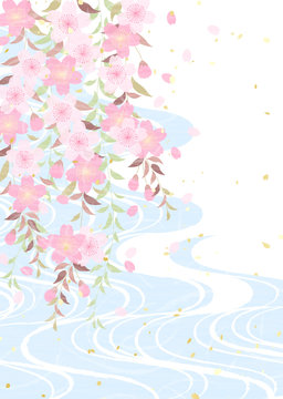 枝垂れ桜