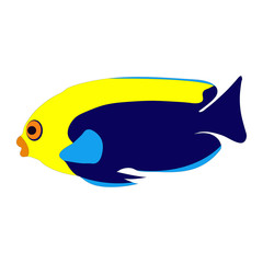 Obraz premium Isolated colorful 
