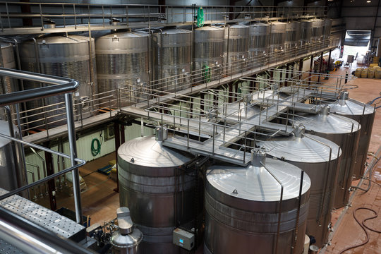 Wine vessels in modern plant interior