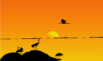 sunset with birds