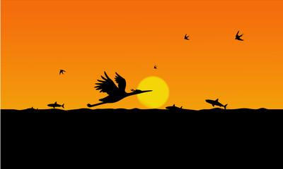crane bird and sunset