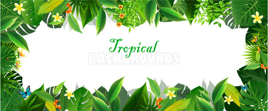 Bright tropical background with jungle plants.