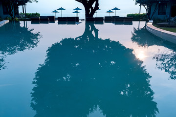 abstract water reflection of heart shape tree in resort by the sea at sunrise. iconic concept for love, valentine and wedding