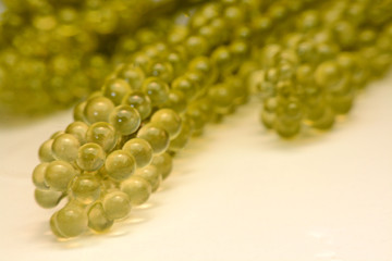 sea grapes or green cavier Seaweed Healthy sea food. Oval sea grapes seaweed.