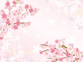 Plakat 桜のフレーム素材
