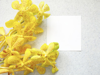 Creative flat lay design of card note with yellow orchid flowers, minimal style.