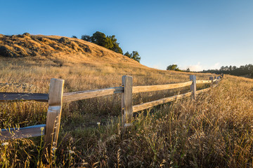 Mill Valley