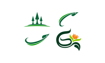 Leaf Template Vector Set