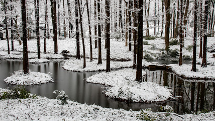 Lake, Forest, Snow - Botanical Garden, Hangzhou, China © Bob