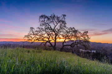 Fototapeta premium Dinosaur Hill Park at Sunrise