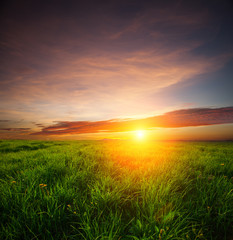 green field and beautiful sunset