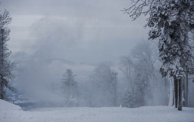 Obraz na płótnie Canvas Winter landscape. Snow covered forest 