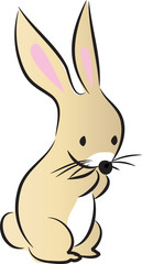 Fototapeta premium rabbit