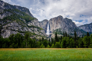 Fototapeta na wymiar Yosemite Falls over the Meadow