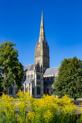 Salisbury, Wiltshire, England