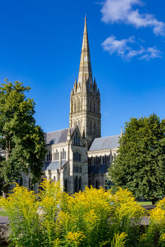 Salisbury, Wiltshire, England