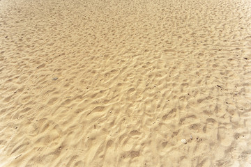 Sea. Tropical Paradise.